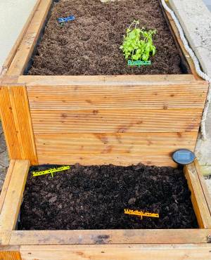 Beetstecker Farben