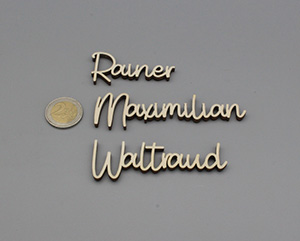 Platzkarten Lasercut aus Holz Hochzeit / Taufe / Geburtstag etc.